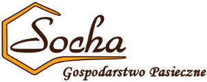 logo_socha